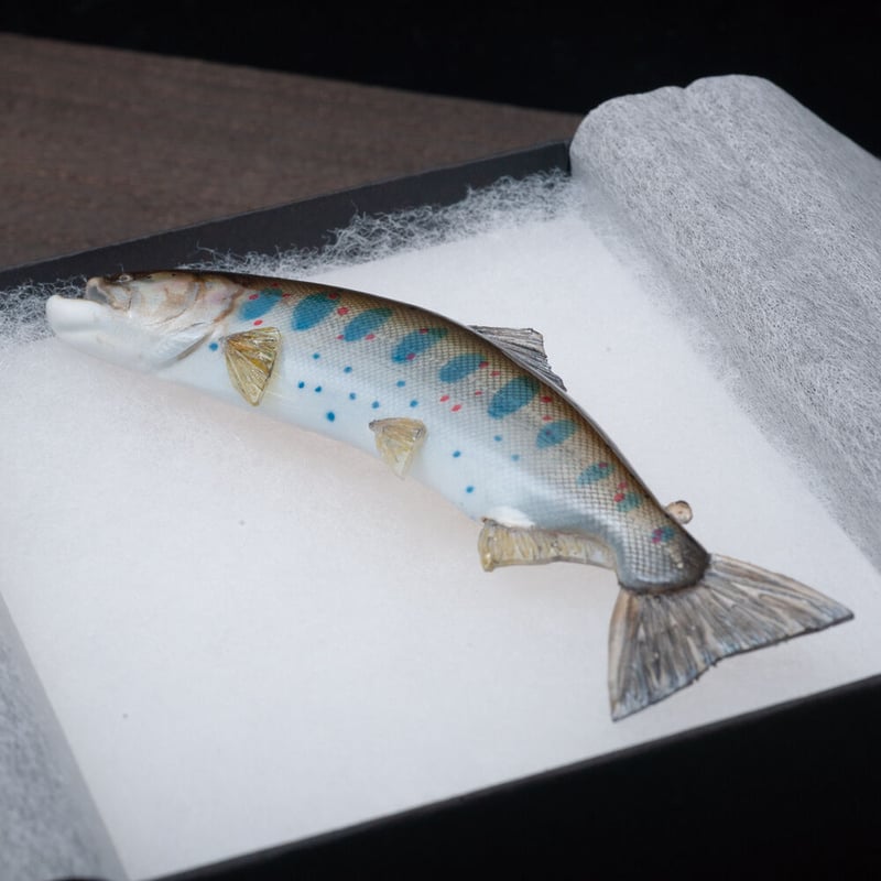 トラウトブローチ　本流アマゴ 長良川本流アマゴ！二刀流編！ | フィッシング遊