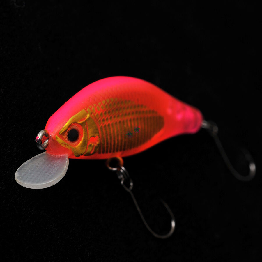 アレキサンドラ43FS WEB限定カラー | PALMS ONLINE SHOP