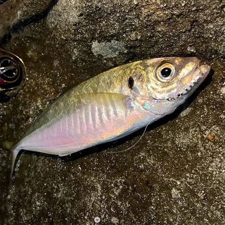 0.9g～14gのワイドバリエーション！ビットアーツ ミニチュアダックス