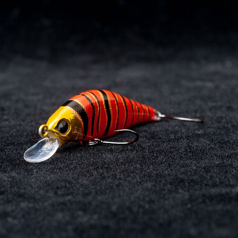 アレキサンドラ43HW&50HW 35th記念カラー スズメバチ | PALMS