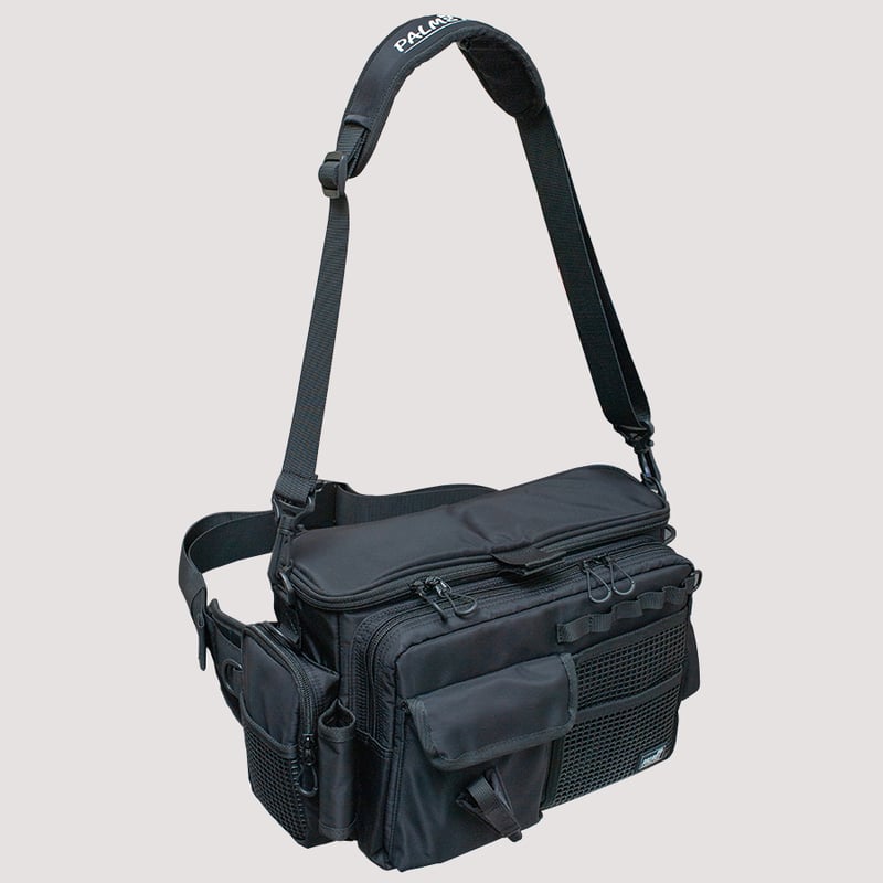 未使用　箱有　ライカ　cクラッチバック　ライトゴールド　AUDI 未使用箱有ライカcクラッチバックライトゴールドAUDI