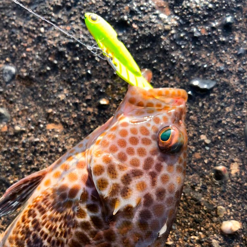 ビットアーツ ビズ47S ＜シンキング, 47mm, 7.0g＞ | PALMS