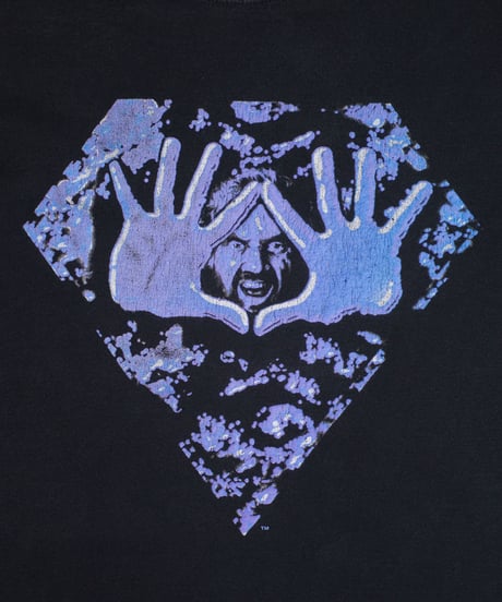 90's Diamond Dallas Page