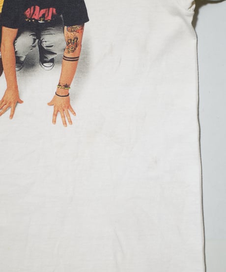 90-2000's Blink 182 L
