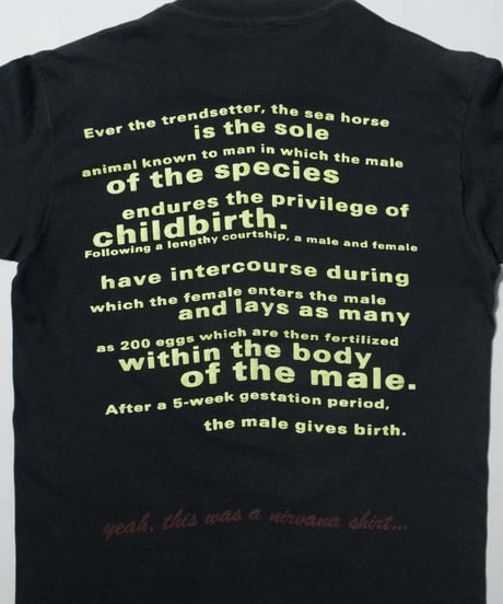 '93 NIRVANA "All Apologies" L