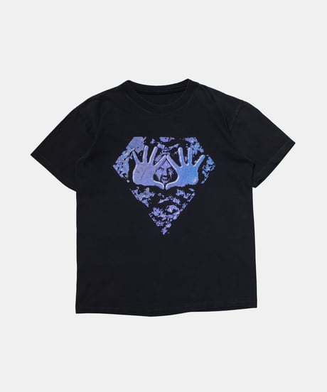 90's Diamond Dallas Page