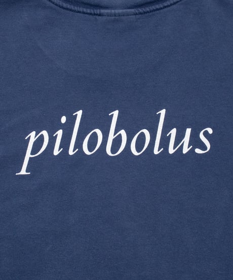 90~2000's Pilobolus L