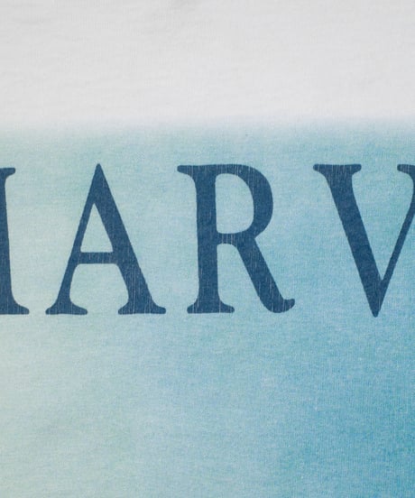 '95 PJ HARVEY "To Bring You My Love"