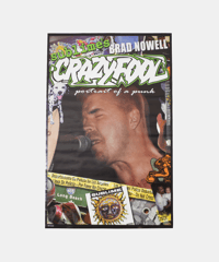 NOS 2001's Sublime's Brad Nowell "Crazyfool (Portrait of a Punk)" Poster 88×56