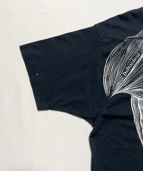 90's Leslie Arwin "Pat Bova" Anatomy T-Shirts XL