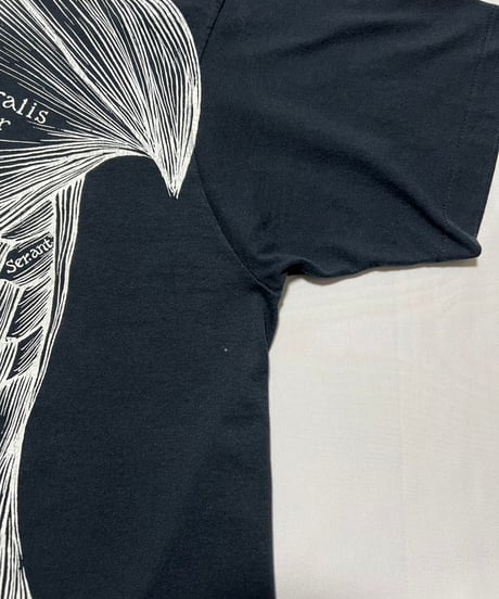 90's Leslie Arwin "Pat Bova" Anatomy T-Shirts XL