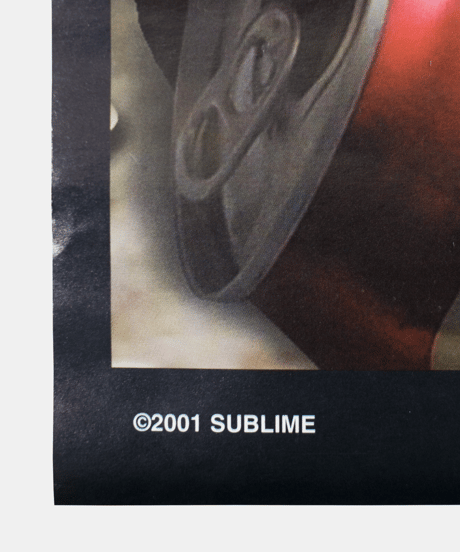 NOS 2001's Sublime's Brad Nowell "Crazyfool (Portrait of a Punk)" Poster 88×56
