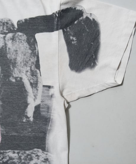 90's Albert Einstein XL