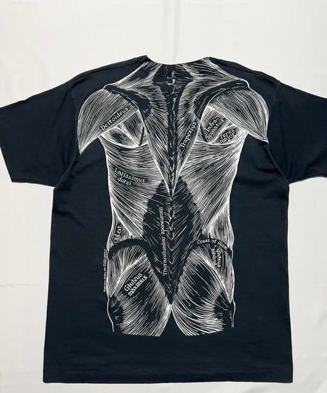 90's Leslie Arwin "Pat Bova" Anatomy T-Shirts XL