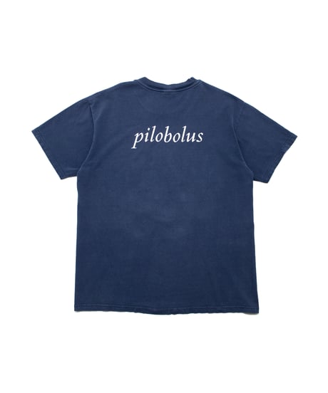 90~2000's Pilobolus L