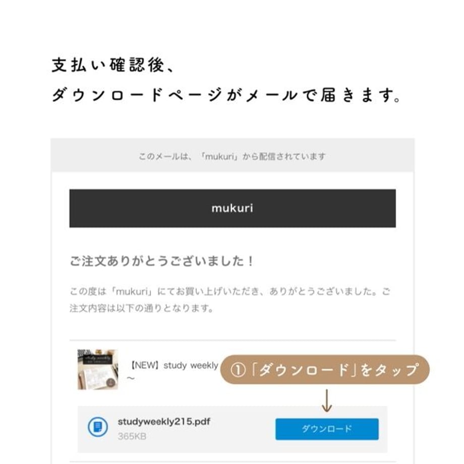 607eb4aec9827a313eff584e