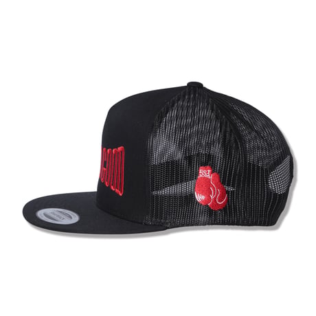 LOSER FLAT VISOR MESH CAP