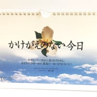 ミラクリ日めくりカレンダー「かけがえのない今日」
