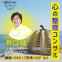 【6月実施枠】心の整理コンサル（野口 健）※オンライン