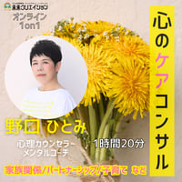 【6月実施枠】心のケアコンサル（野口ひとみ）※オンライン