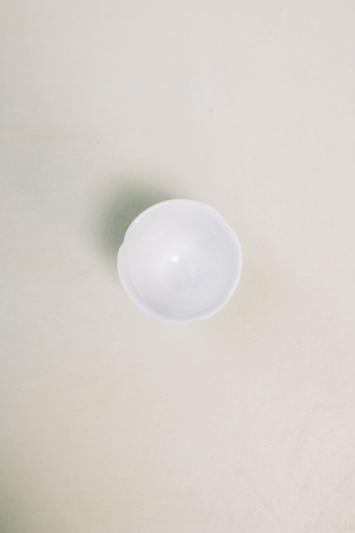 田中直純　輪花プレート 2枚セット 田中直純 反輪花茶杯 | 菓菓かはん