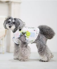 モンマルトルフリルTシャツ ペルルブラン