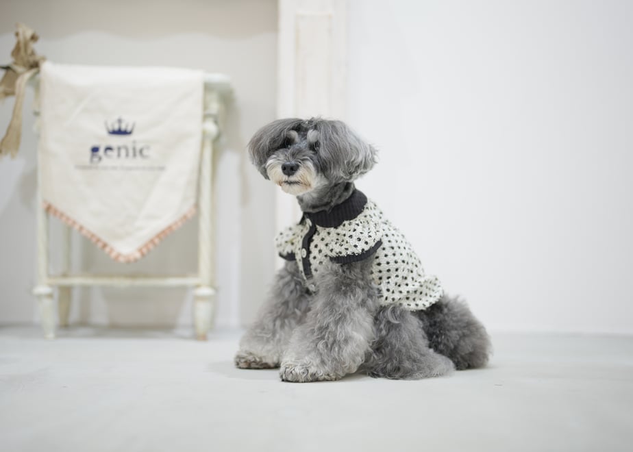 68dd411ee126f8b1d8efae3e