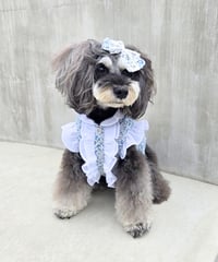 フルレットフリルシャツ シエルブーケ