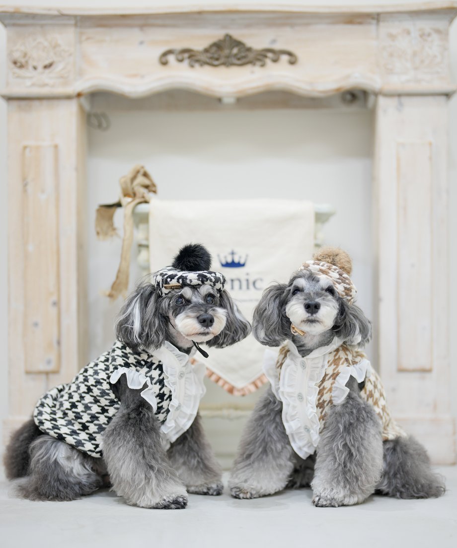 69008493f65f80df82ef0d47