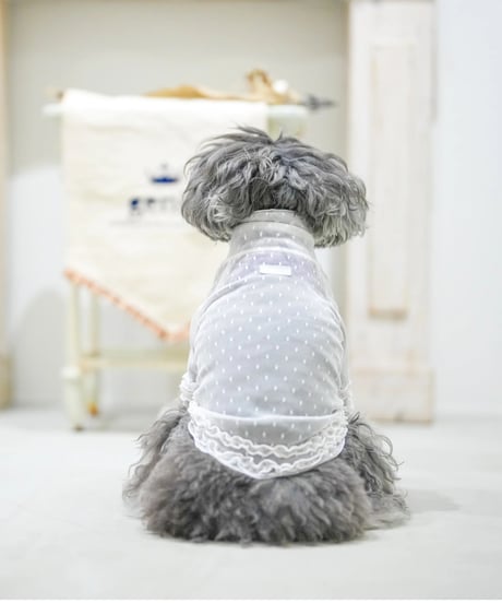ドットミストシアーボディカバー　ホワイトヴェール