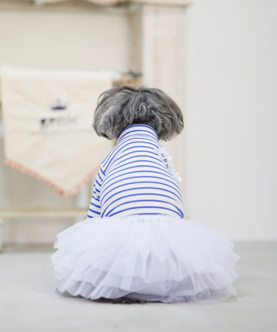67e6689ce080d97a934508cb