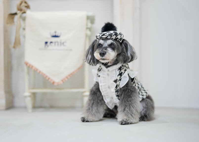 【新品】OVERCOAT 25AW犬プリント 長袖シャツ グレー系 ビシューハウンドチェックフリルシャツ ブラック | genic ONLINE STORE