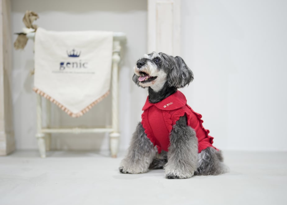 68e6173ce6849810f6d3634a