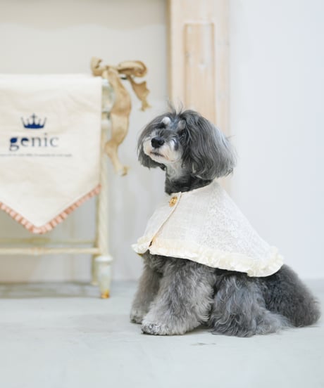 CATEGORY phitenコラボ | genic ONLINE STORE