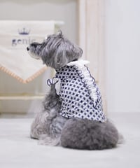 phiten ソワレリカバリーフリルTシャツ