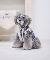 レースタータンフリルシャツ ノーブルマリン
