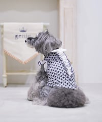 ソワレリカバリーフリルTシャツ