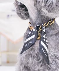 リカバリーカルテネックレス ブラックカード