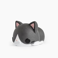 ねこ はちわれ