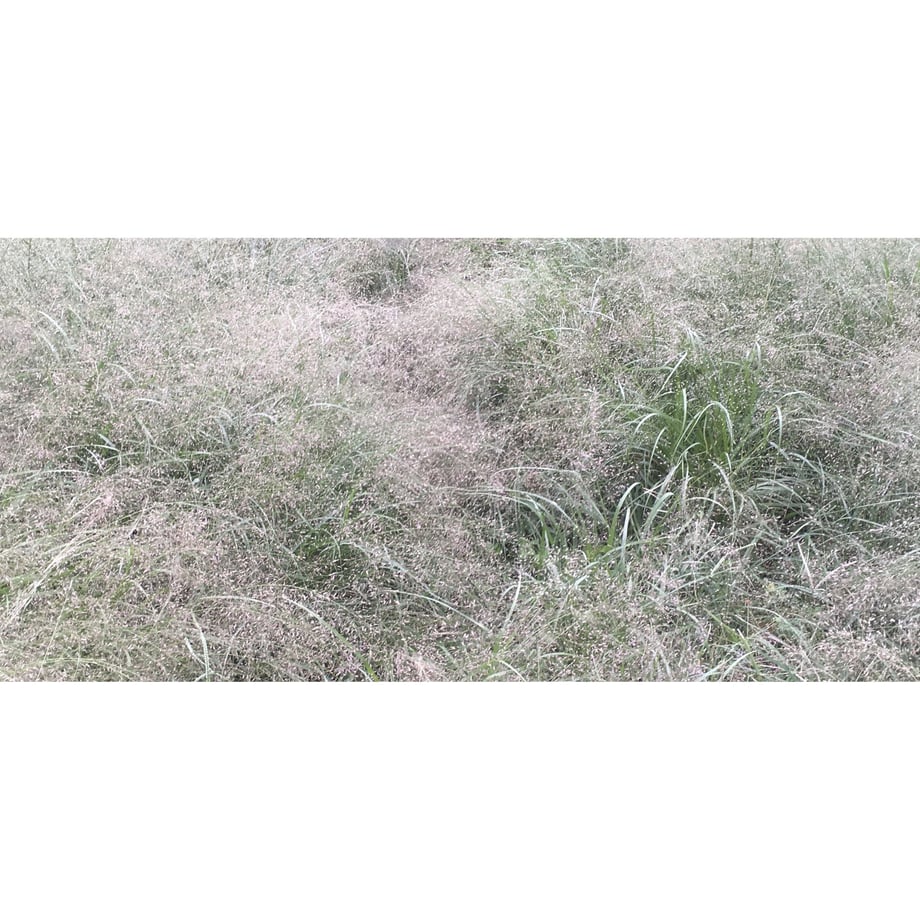 5d00c7dfc0b0fd7b57033f48