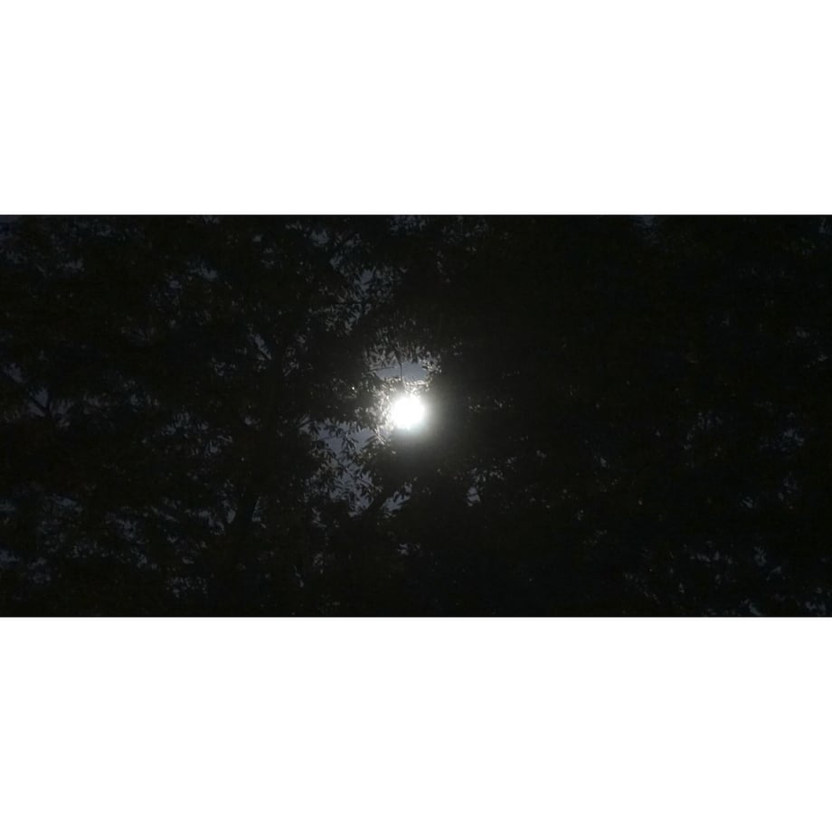 5ba9c076a6e6ee3eb1000653