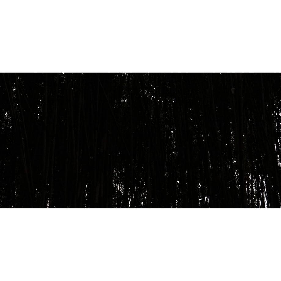 5d00c7dfc0b0fd7b57033f48
