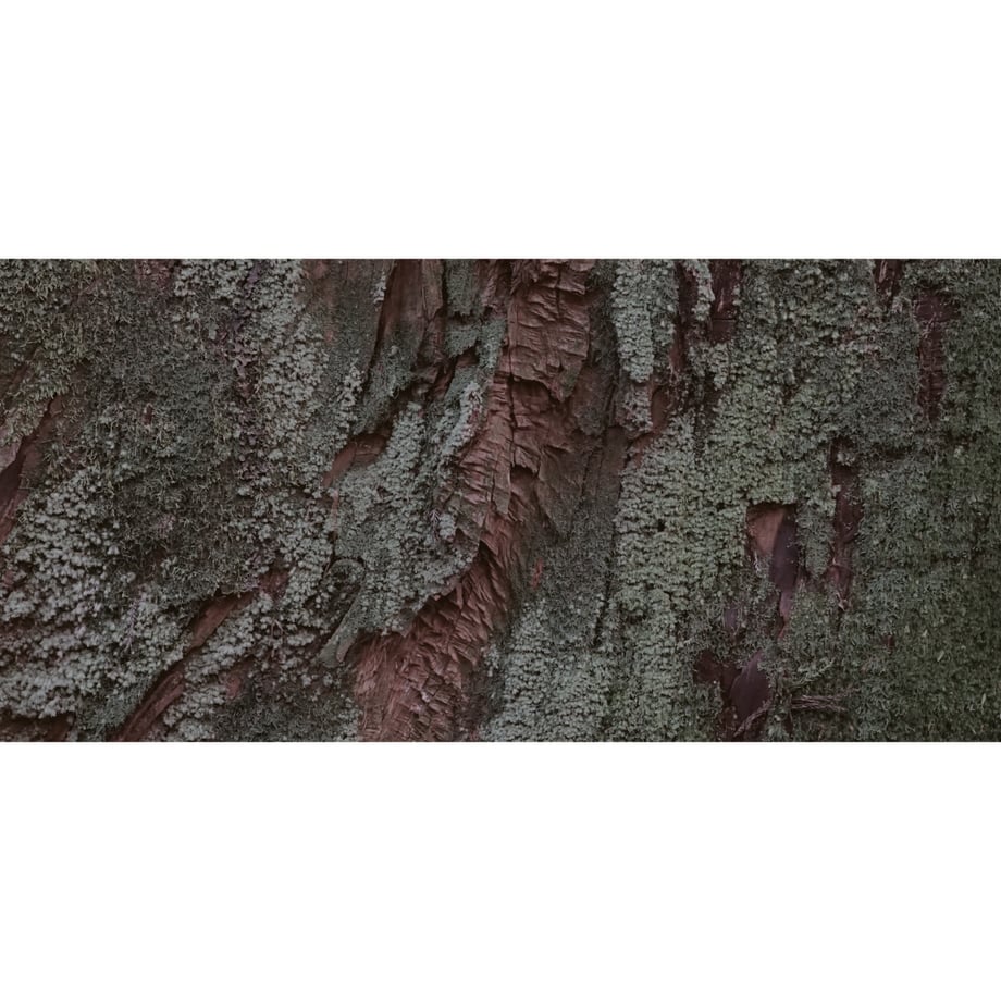 5b9ed9595496ff0ad7000925