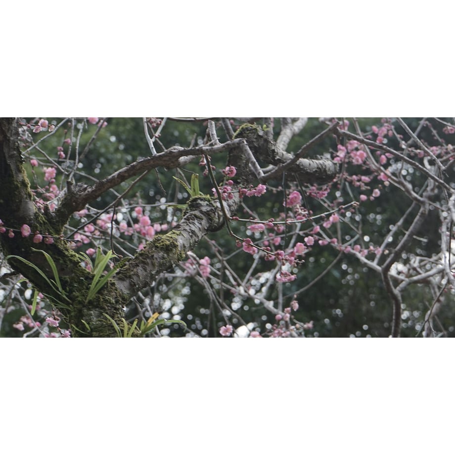 5ba027365f78664dc60000d8