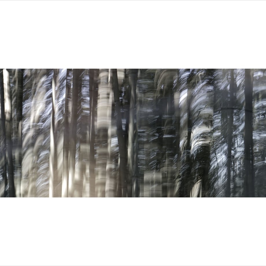 5ba026e2ef843f743a0010f3
