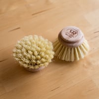 洗濯用ブラシ (握り込み丸型)