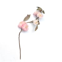 布花 八重桜 ＜A＞ ／ itoma
