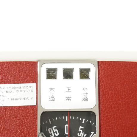 1970's Body Scale 1