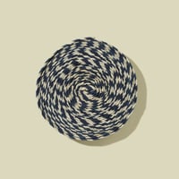 Horse Reins 1