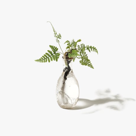Hydroponic Plants 4D